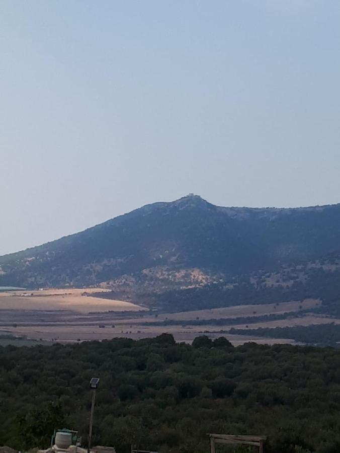 سان ماركو في لميس B&B Porta Del Gargano المظهر الخارجي الصورة