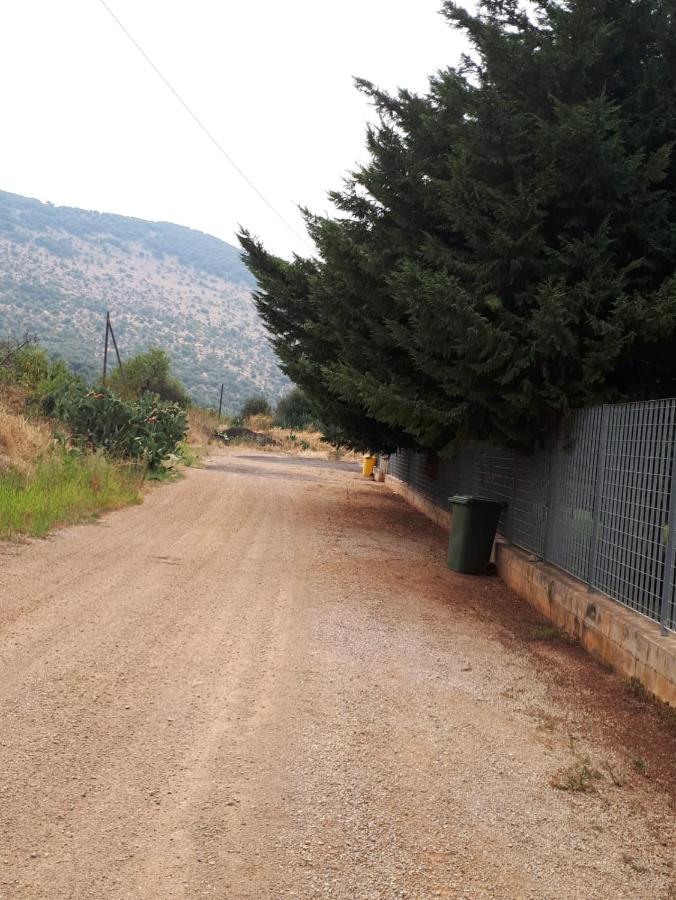 سان ماركو في لميس B&B Porta Del Gargano المظهر الخارجي الصورة